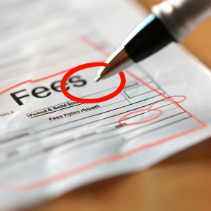 an invoice with the word 'fees' on it